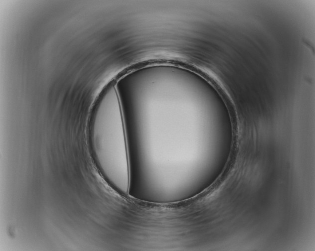 X0000099960783200805231025