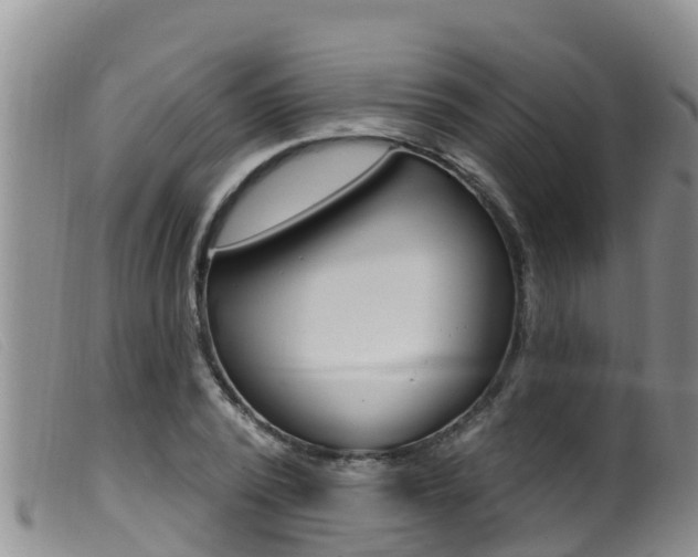 X0000099960784200805231025
