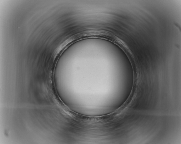 X0000099960786200805231025