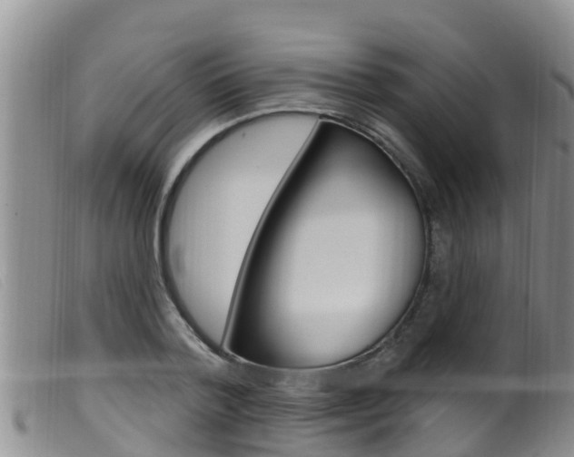 X0000099960788200805231025