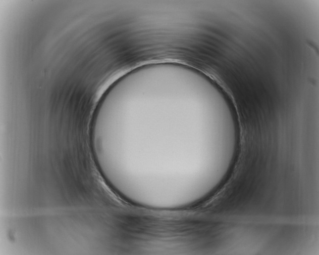X0000099960789200805231025