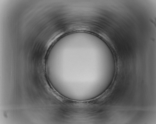 X0000099960790200805231025