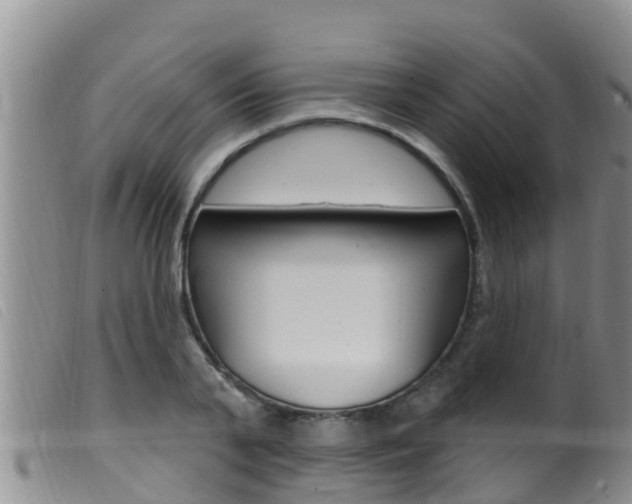 X0000099960791200805231025