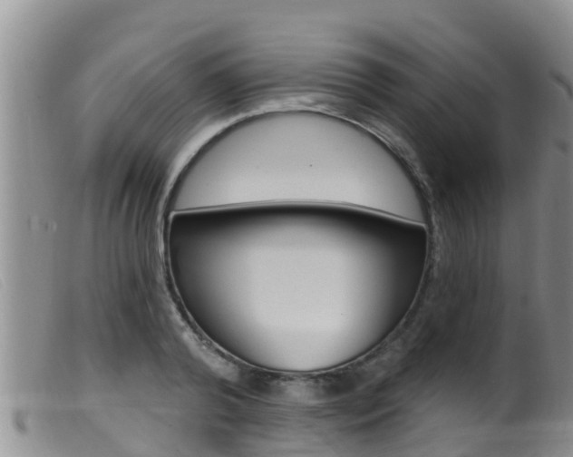 X0000099960792200805231025