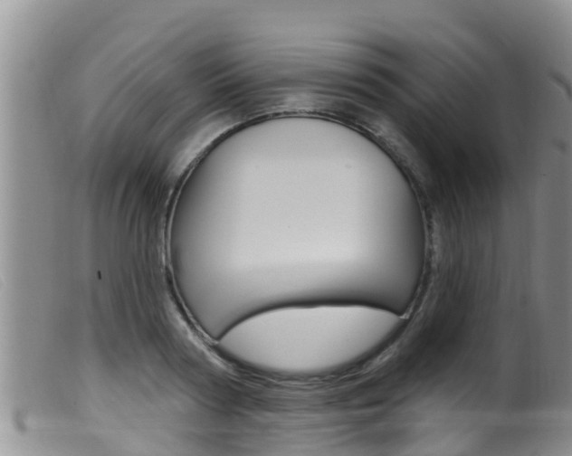X0000099960794200805231025