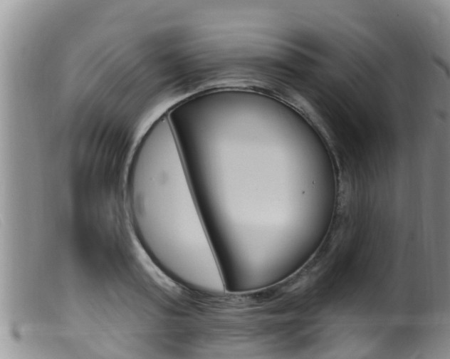 X0000099960795200805231025