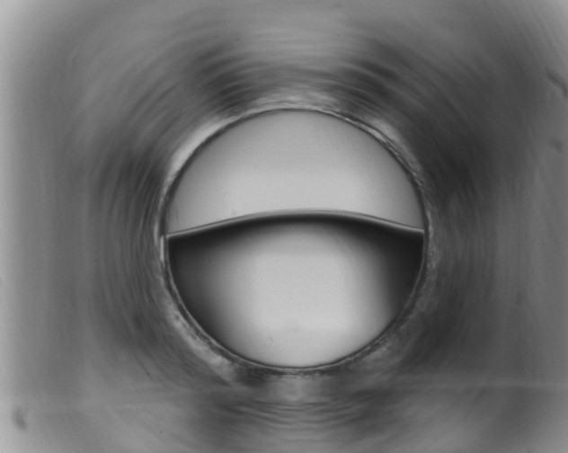 X0000099960796200805231025