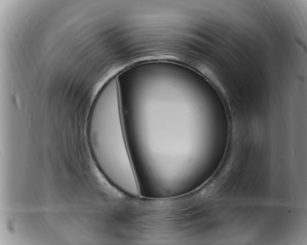 X0000099960797200805231025