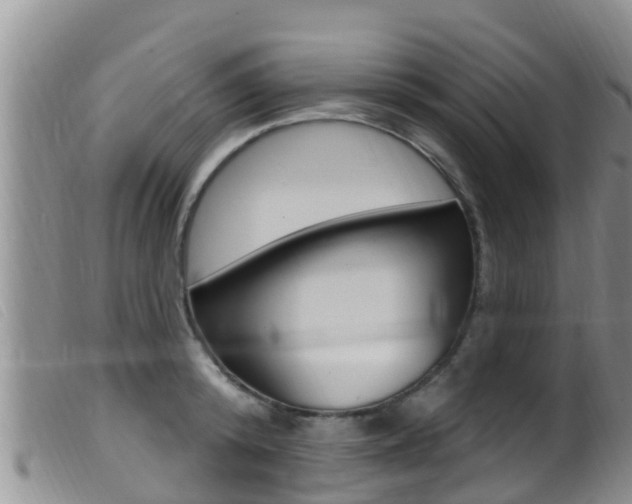 X0000099960800200805231025