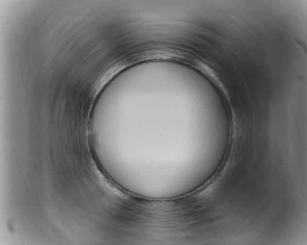 X0000099960802200805231025
