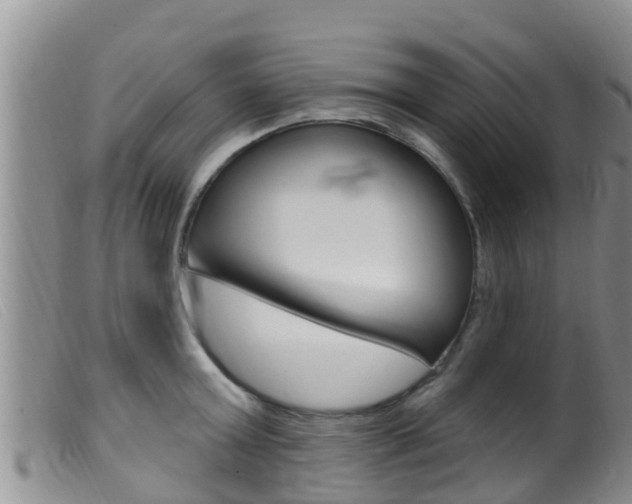 X0000099960803200805231025