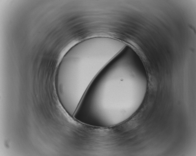 X0000099960804200805231025