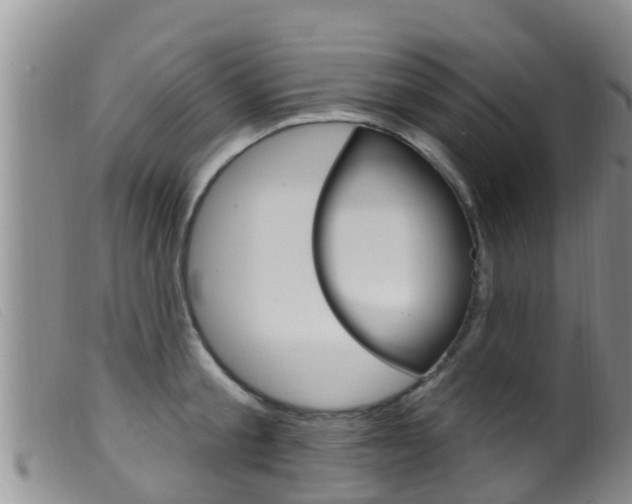X0000099960805200805231025