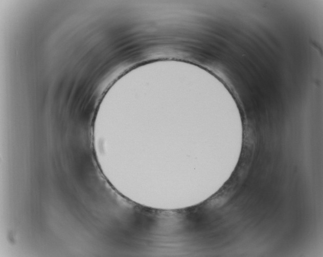 X0000099960807200805231025