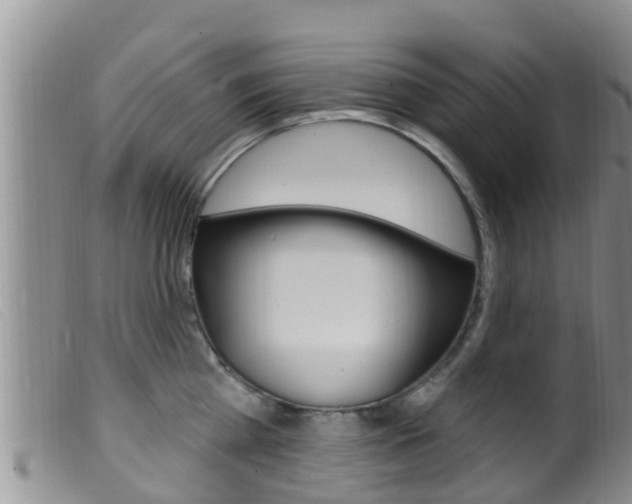 X0000099960809200805231025