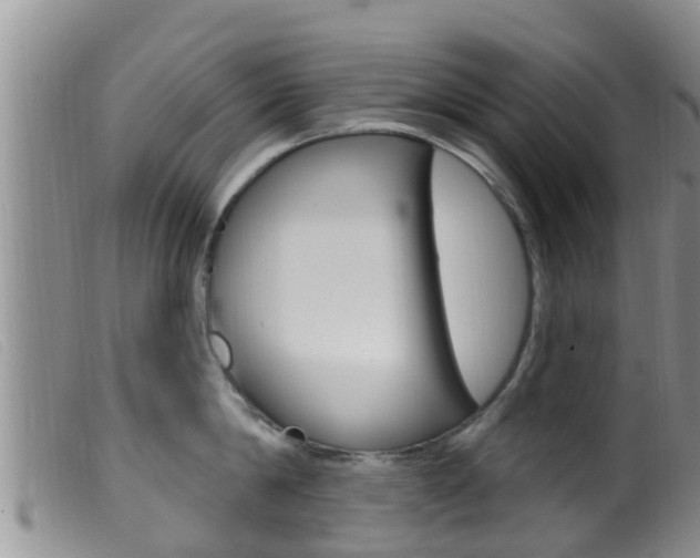 X0000099960814200805231025