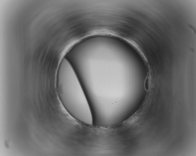 X0000099960815200805231025