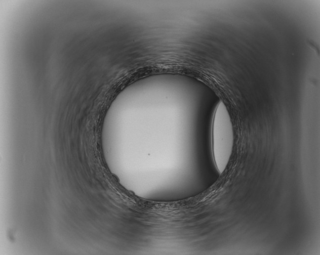 X0000099960817200805231024