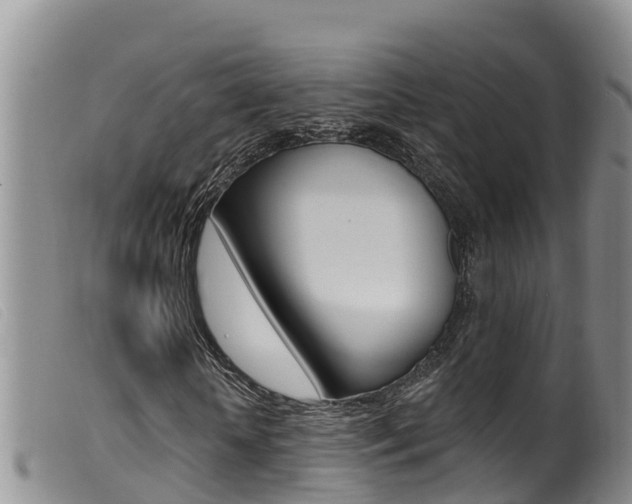 X0000099960818200805231024