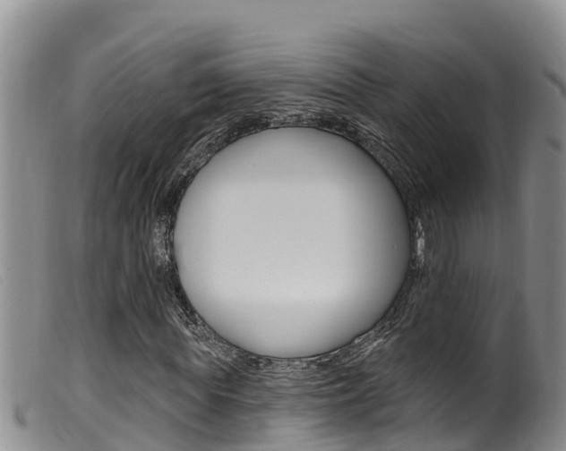 X0000099960819200805231024