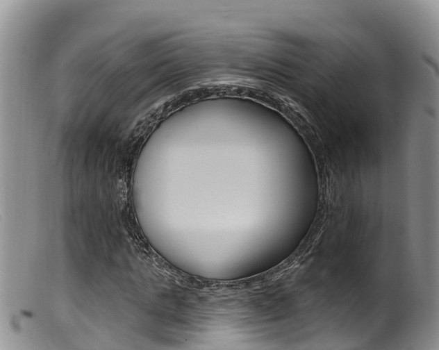 X0000099960821200805231024