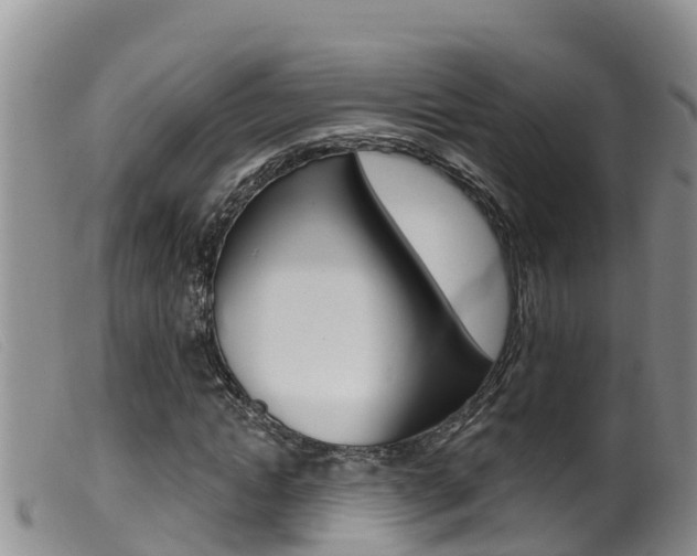 X0000099960822200805231024