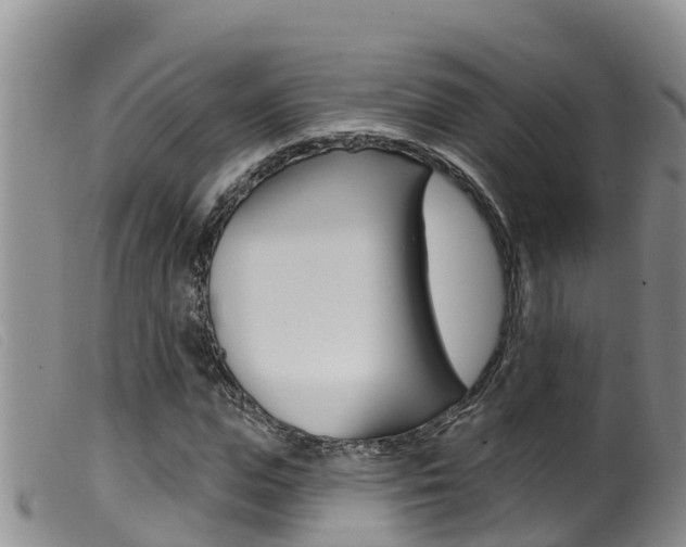 X0000099960823200805231024