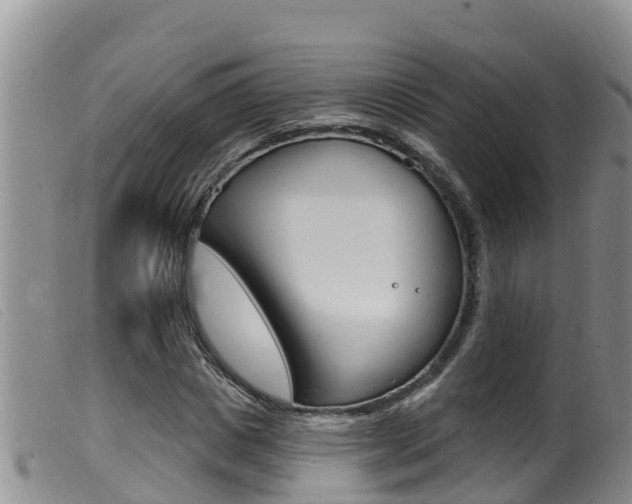 X0000099960825200805231024