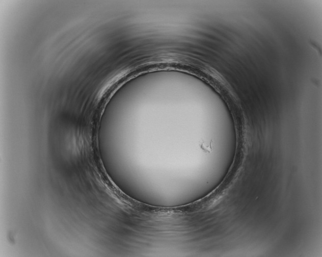 X0000099960826200805231024