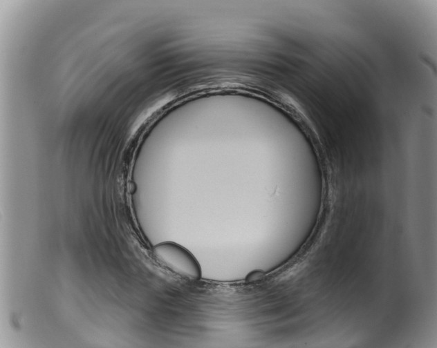 X0000099960827200805231024