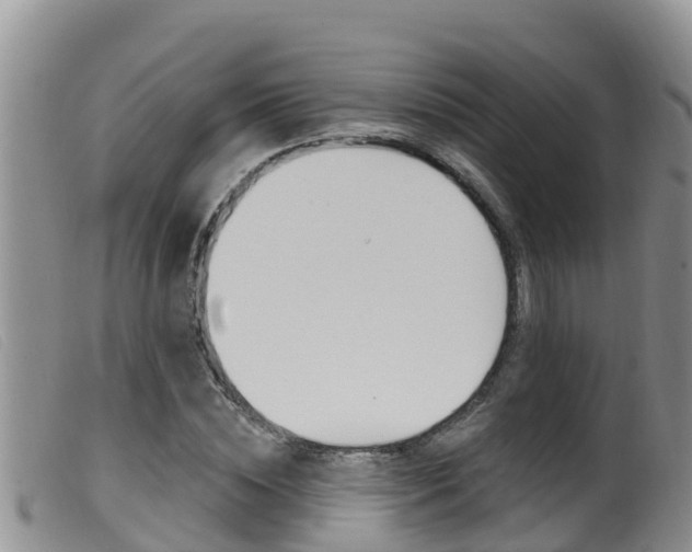 X0000099960828200805231024