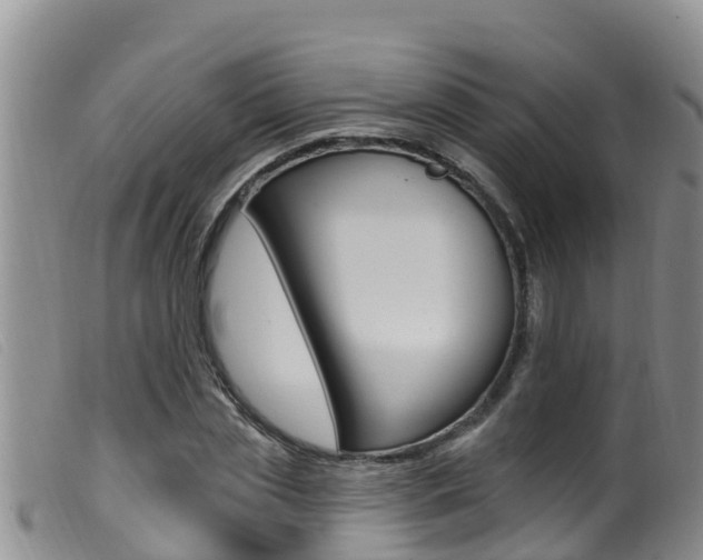 X0000099960829200805231024