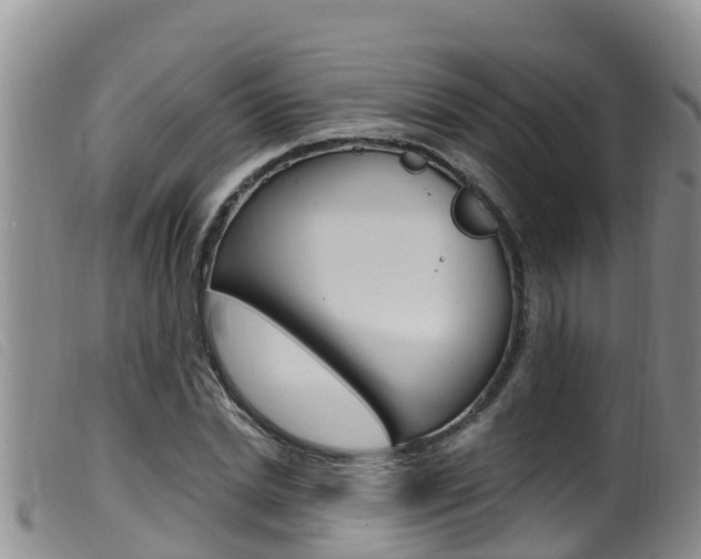 X0000099960830200805231024
