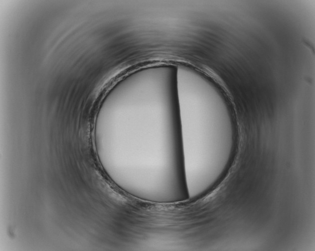 X0000099960831200805231024