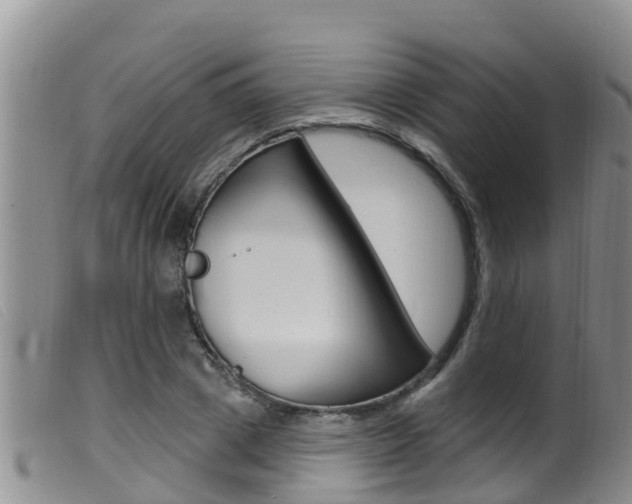 X0000099960833200805231025
