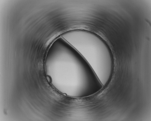X0000099960834200805231025