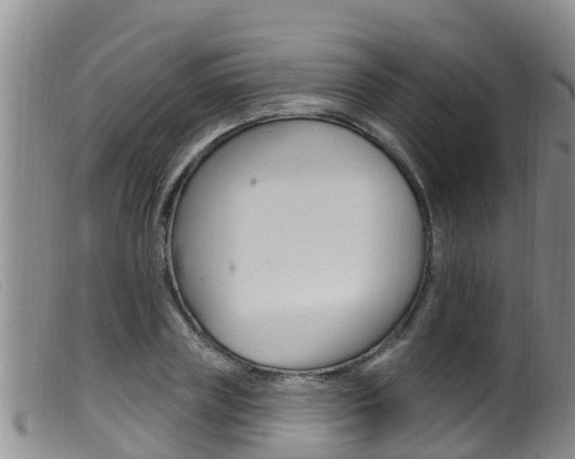 X0000099960835200805231025