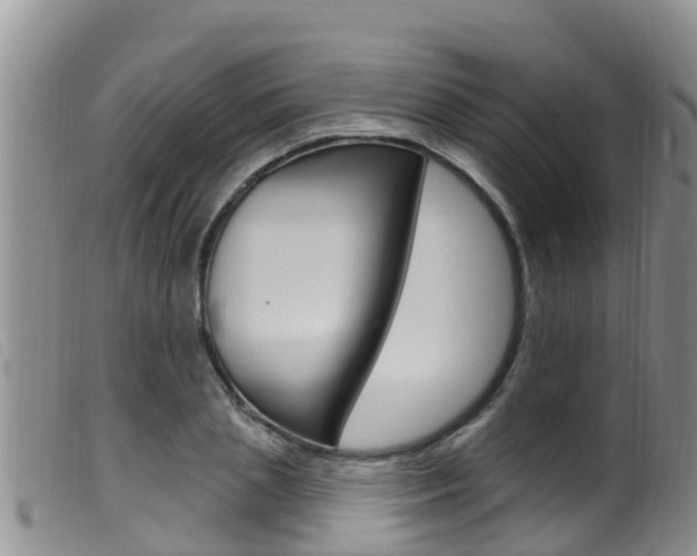 X0000099960837200805231025