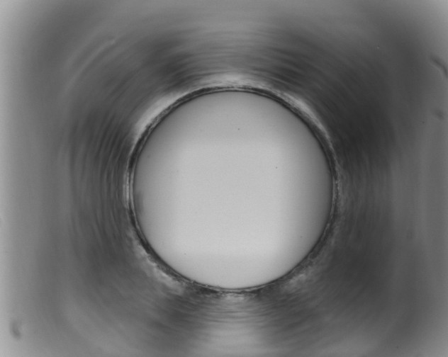 X0000099960839200805231025