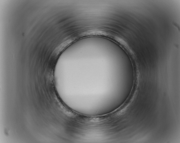 X0000099960841200805231025