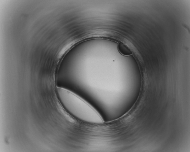 X0000099960842200805231025