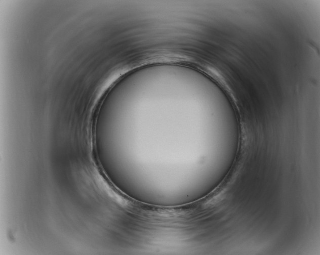 X0000099960843200805231025