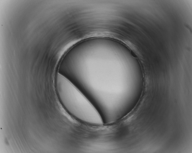 X0000099960846200805231025