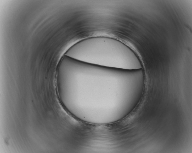 X0000099960847200805231025