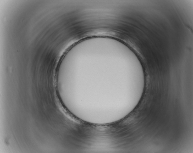 X0000099960848200805231025