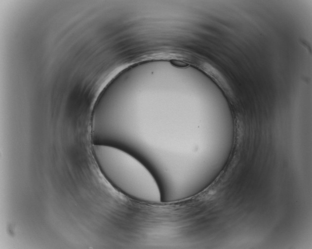 X0000099960852200805231025