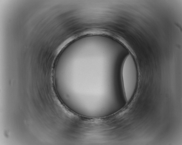 X0000099960853200805231025