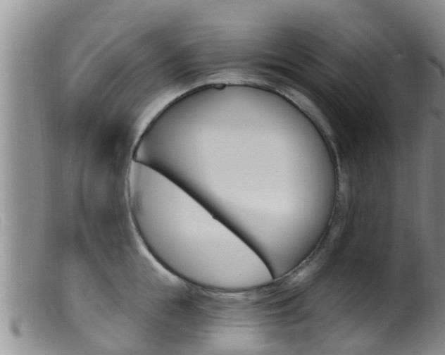 X0000099960855200805231025