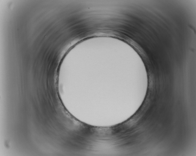 X0000099960856200805231025