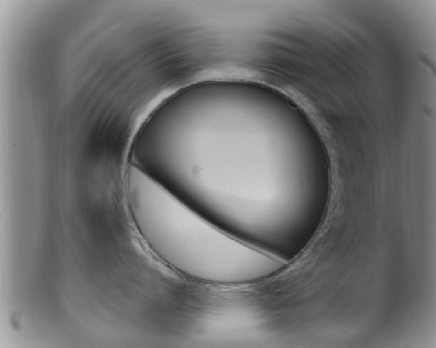 X0000099960864200805231025